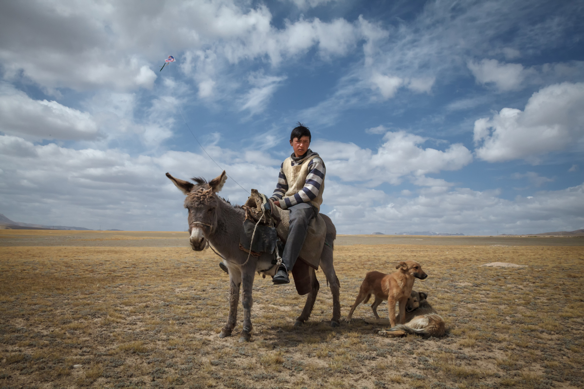kyrgyzstan shepherds herds dust horses sheep