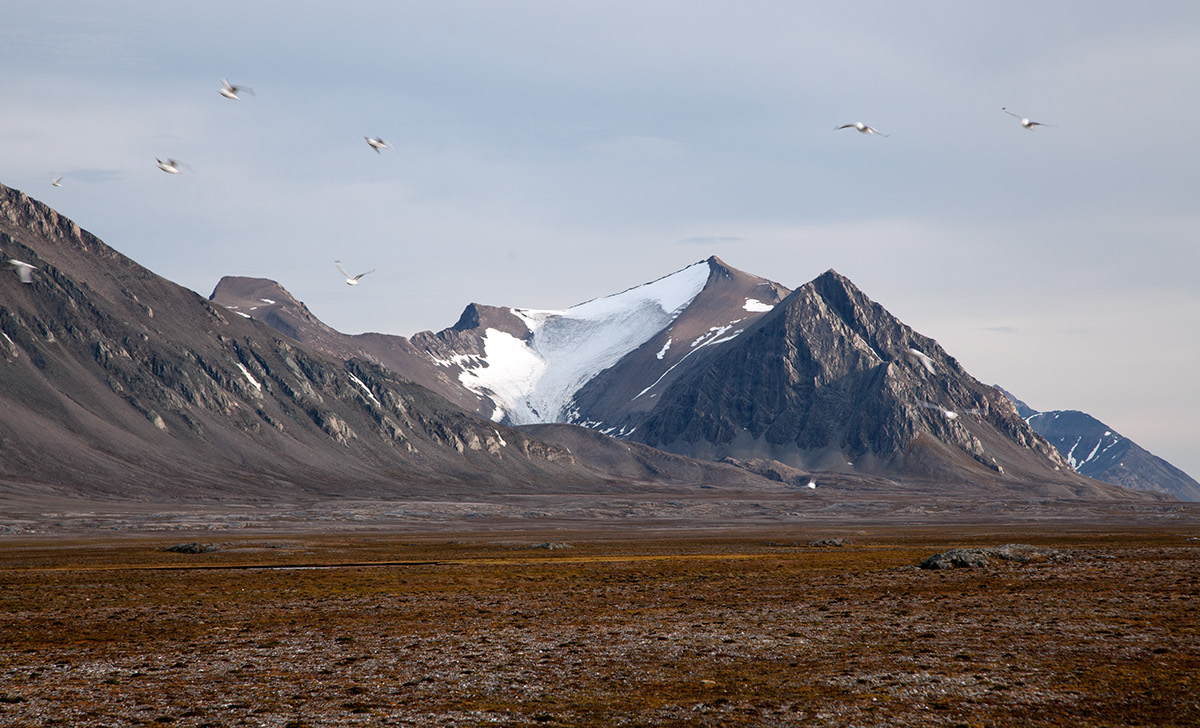 Scandinavia Travel Landscape Nature lofoten burcubasar norway Svalbard iceland water Ocean