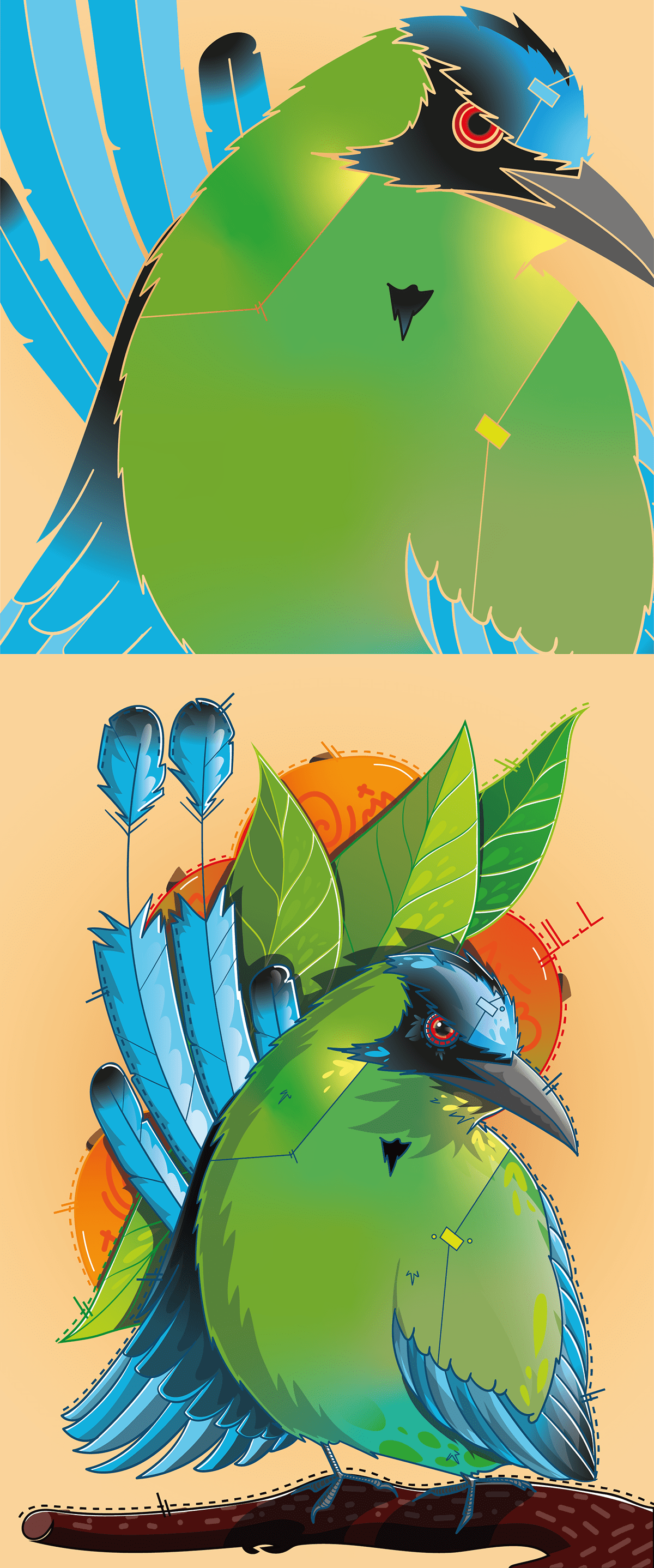 adobe illustrator artwork Barranquero bird Digital Art  Drawing  ILLUSTRATION  ilustracion pajaro vector