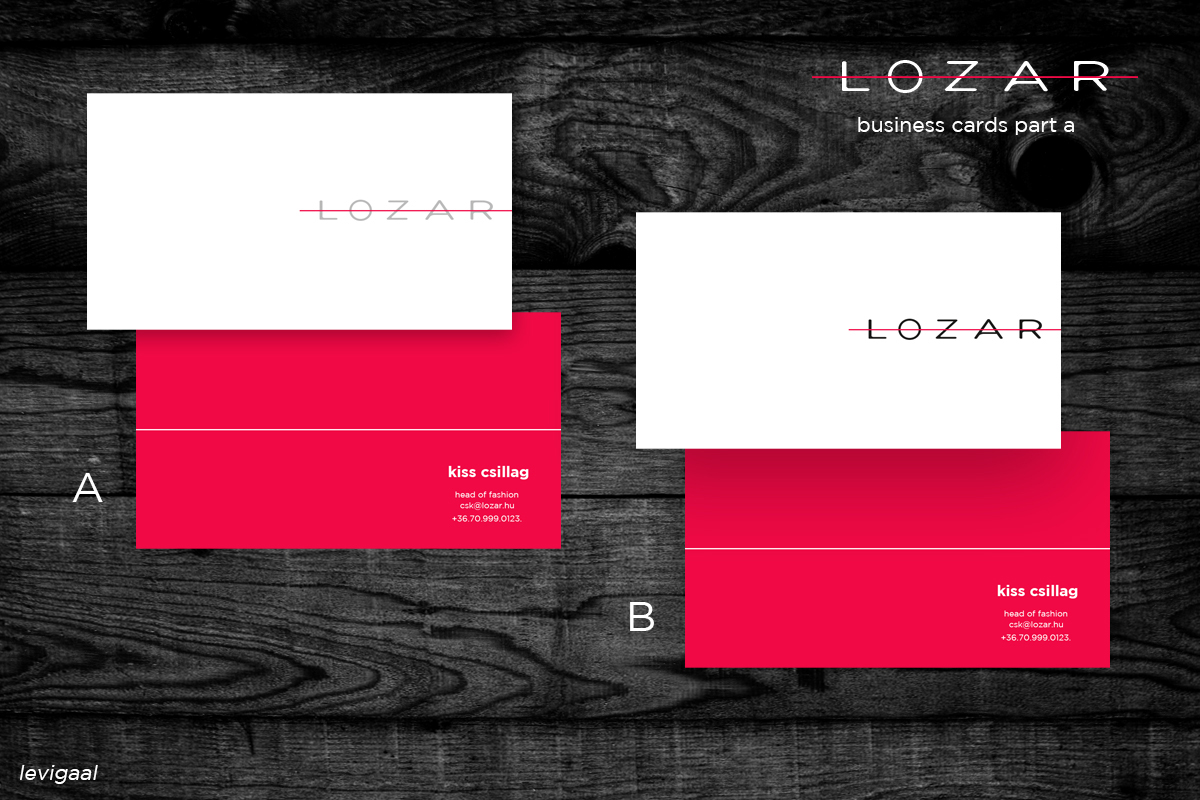 lozar branding  logo Project