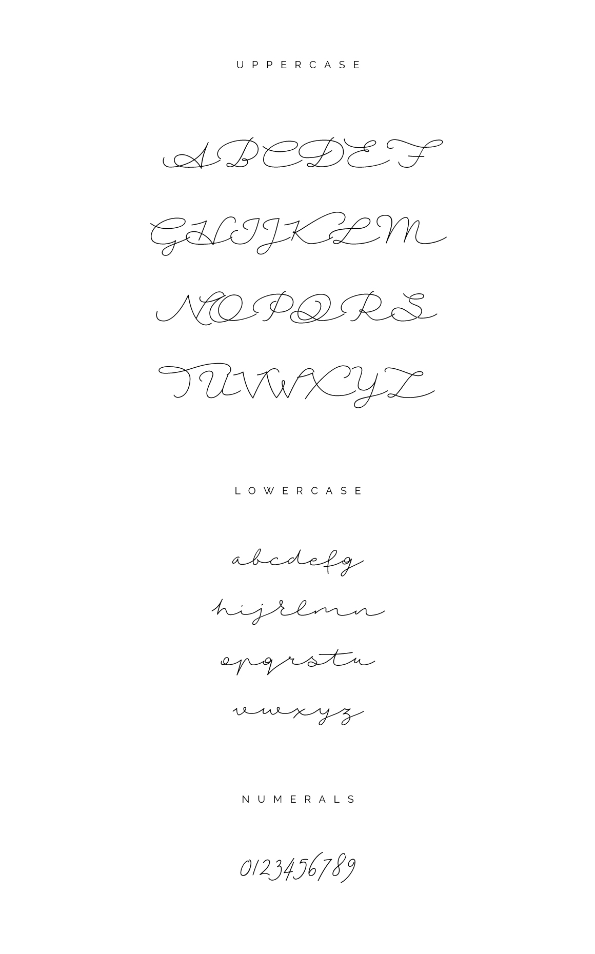 free freebie font fonts Script handwritten modern Calligraphy   advertisement logo