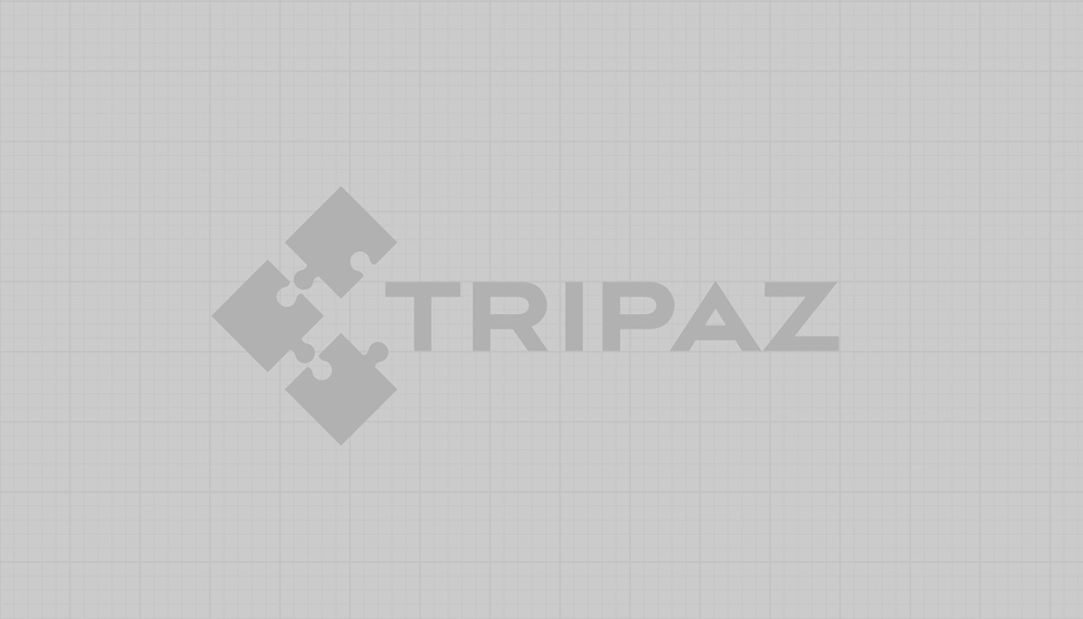 logo gold tripaz slovakia puzzle Solution