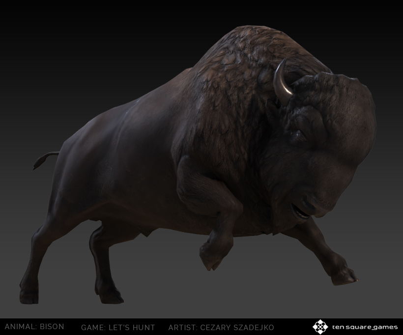 bison 3D model Zbrush 3dsmax Cat TopoGun photoshop Scultping modeling animal game hunter Hunting