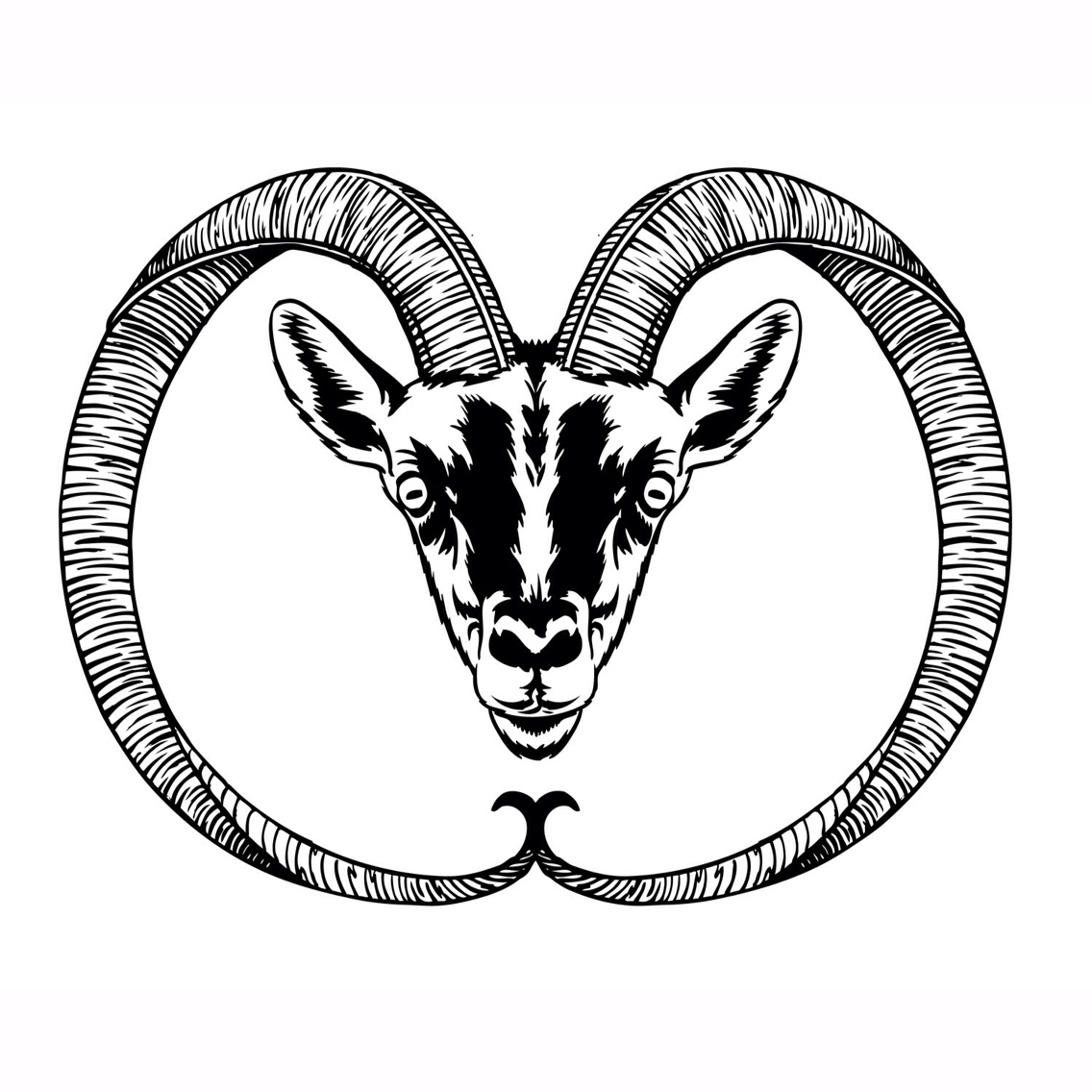ram goat bucardo tshirt graphic