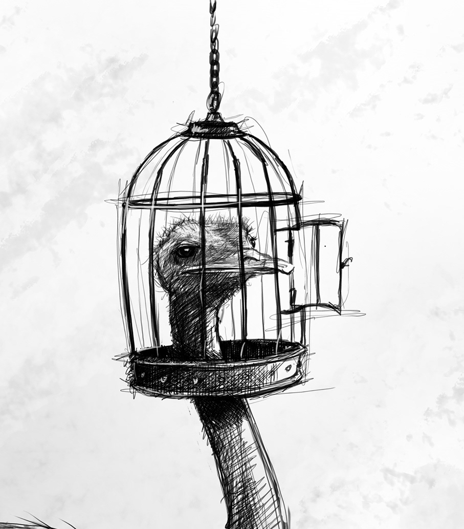 Prisoner ostrich cage