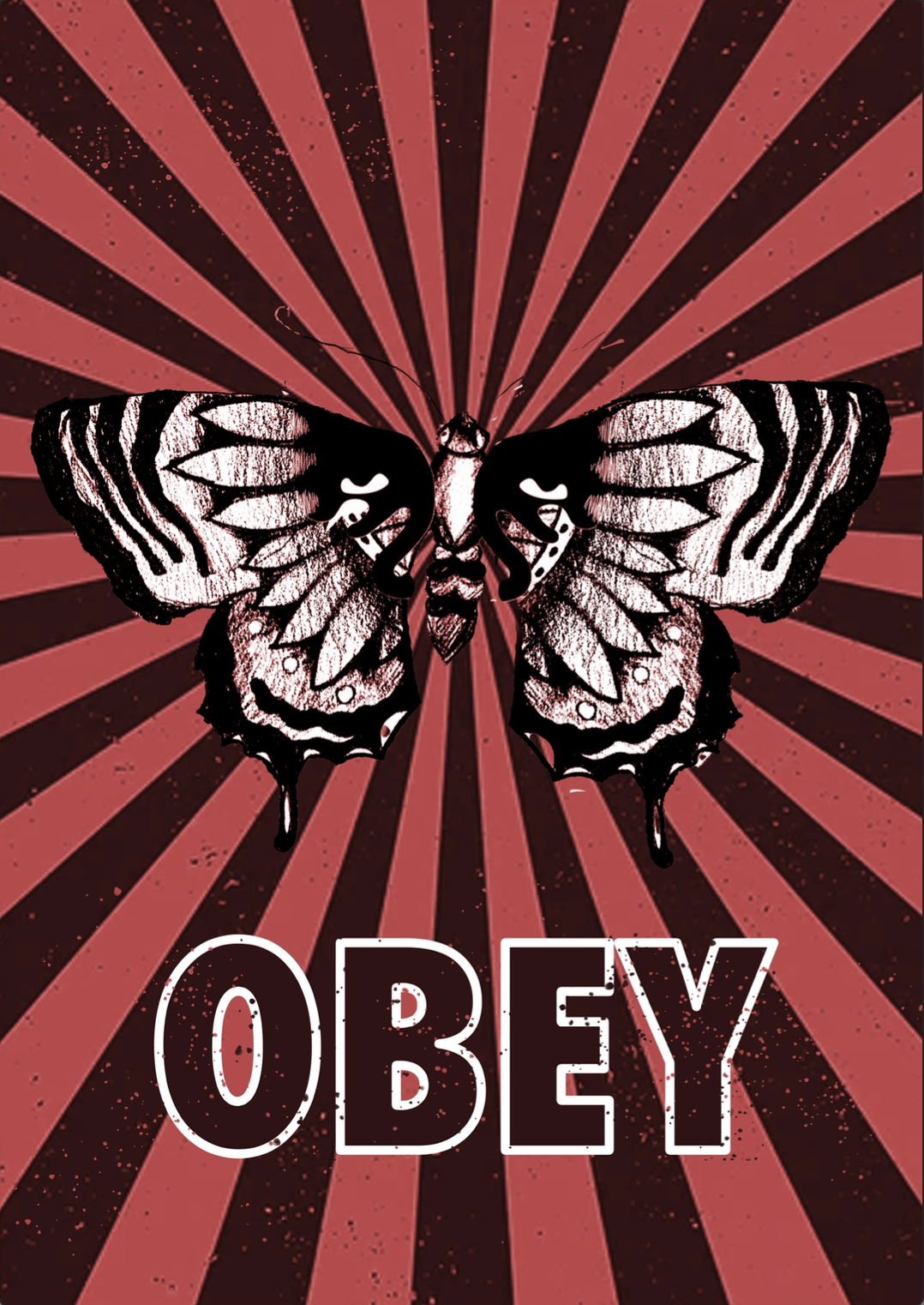 poster Graphic Designer OBEY Poster Design adobe illustrator Logo Design Shepard Fairey