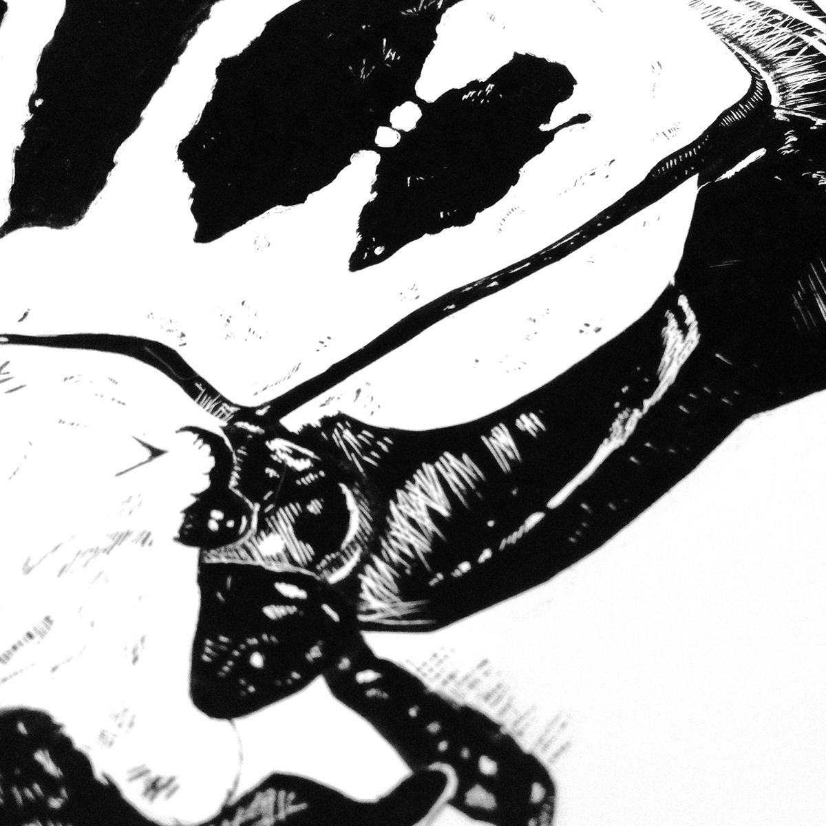 goliathus orientalis bug insect Tropical black ink pen scratchboard clayboard indian