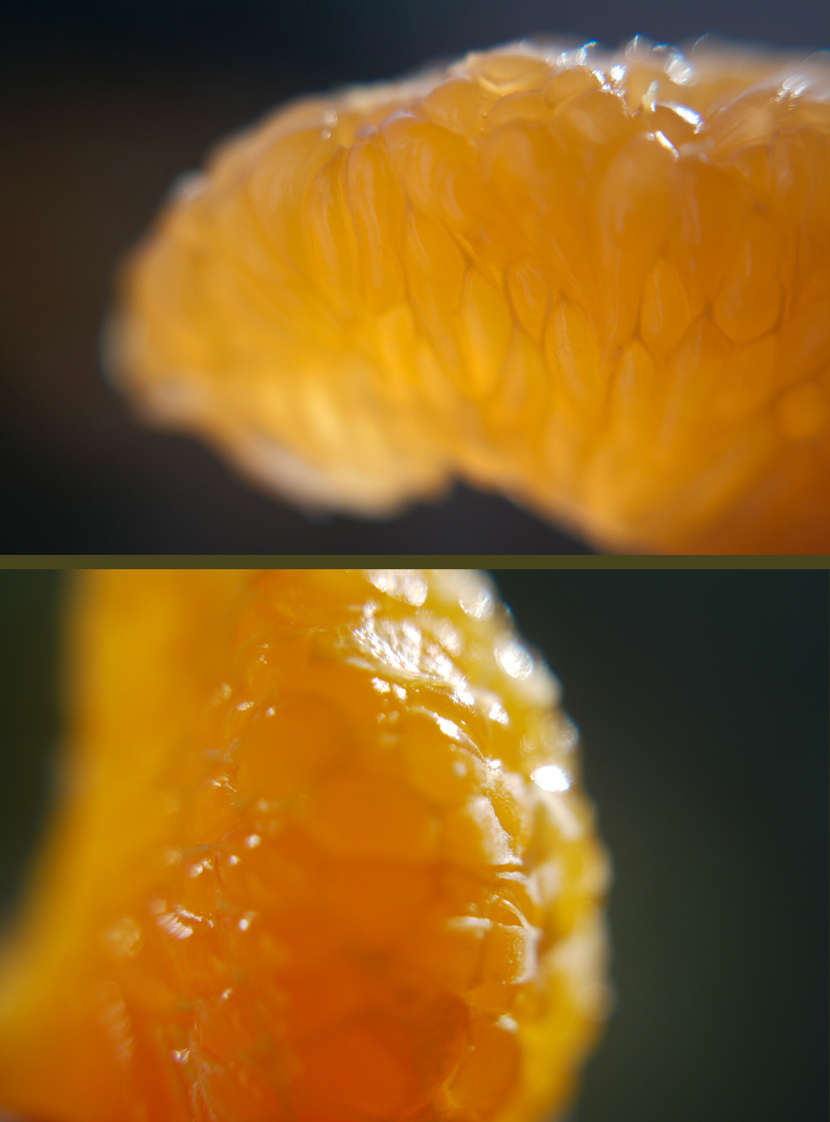 macro fruits macrophotography
