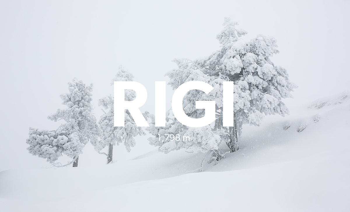 rigi Switzerland mountain Landscape landscape photography snow winder wonderland alps Zug trees Nature snowing