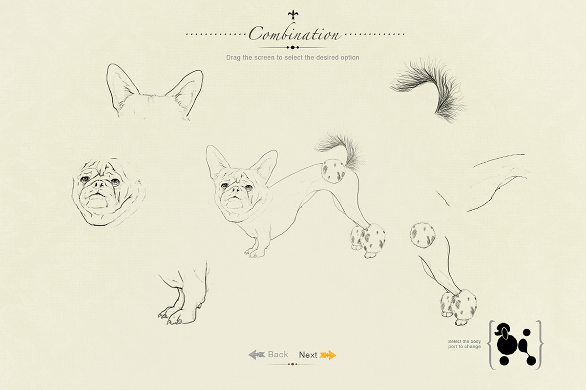 interactive Illustrator dog Retro rich hybridization high Breed