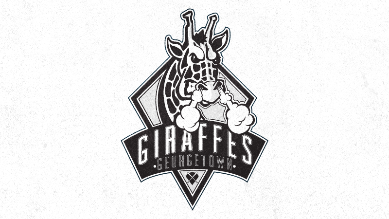 Buffalo  logo  logotypes  branding  identity  fishing  giraffes  typography  texture   retro eagle  Deer  fish  identity Black&white