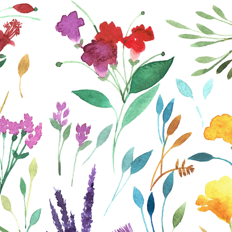 Flowers watercolor pattern Packaging surface design floral botanical summer ink Display