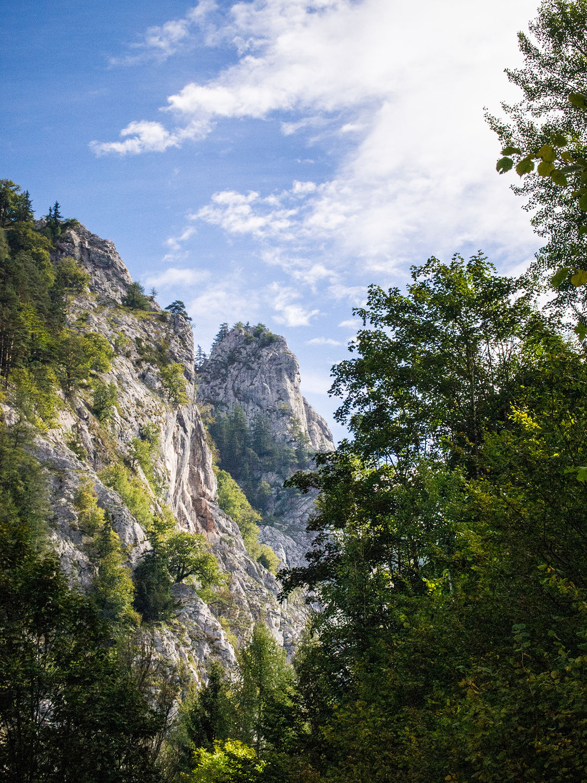 hiking austria mountains