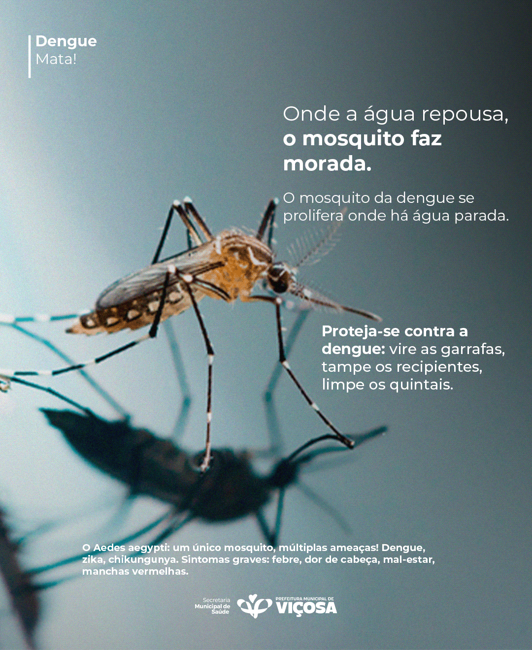 design Social media post Socialmedia post social media photoshop dengue campanha publicidade campanha  contra dengue