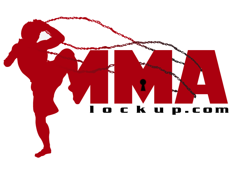 Mixed martial arts fight news  Logo Design brand identity