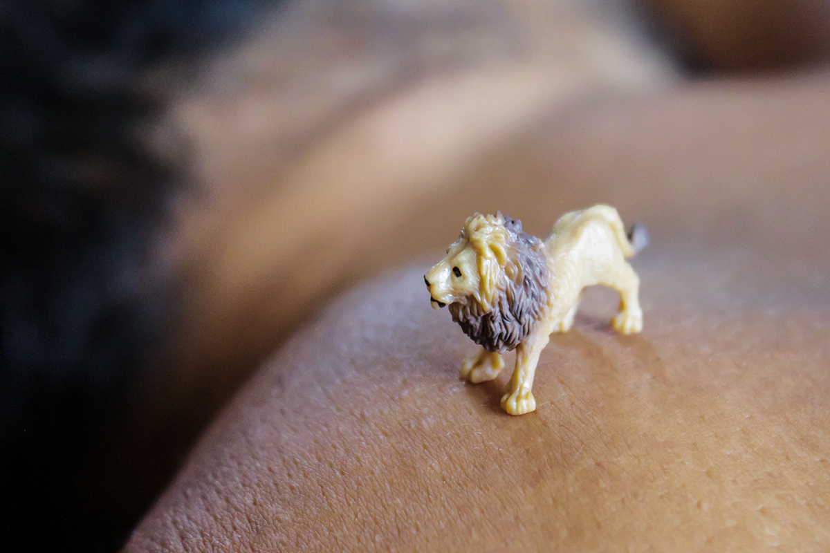 photo Canon body skin close-up animal toys Human Body animals lion suricate hippo octopus