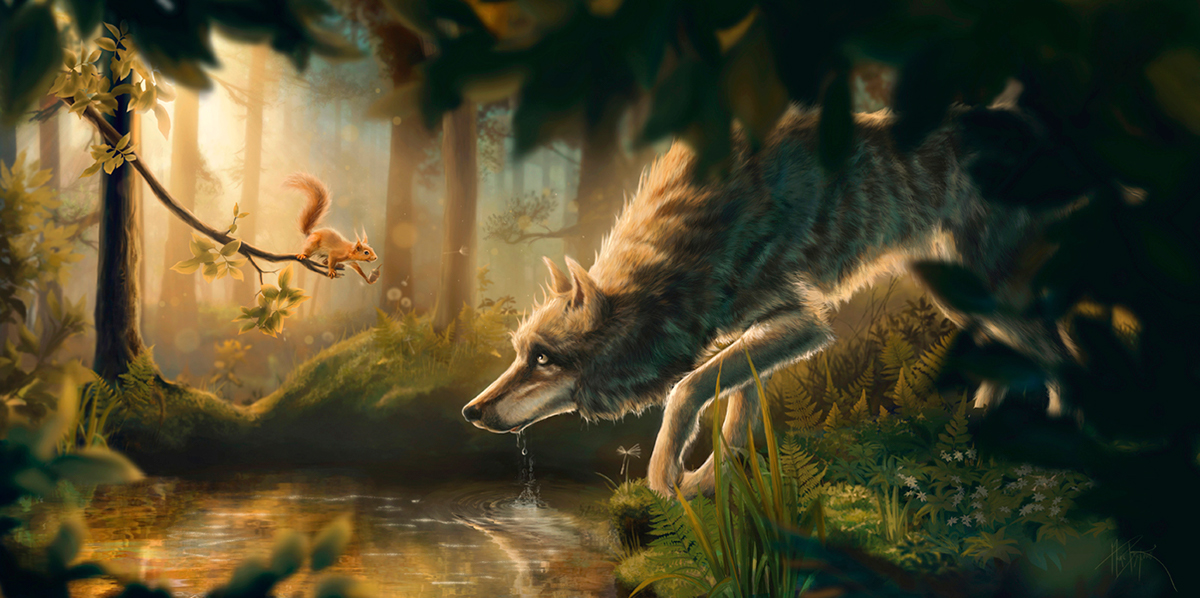 wolf squirrel environment forest pond water Sunrise light characters Nature cute adorable acorn wolves