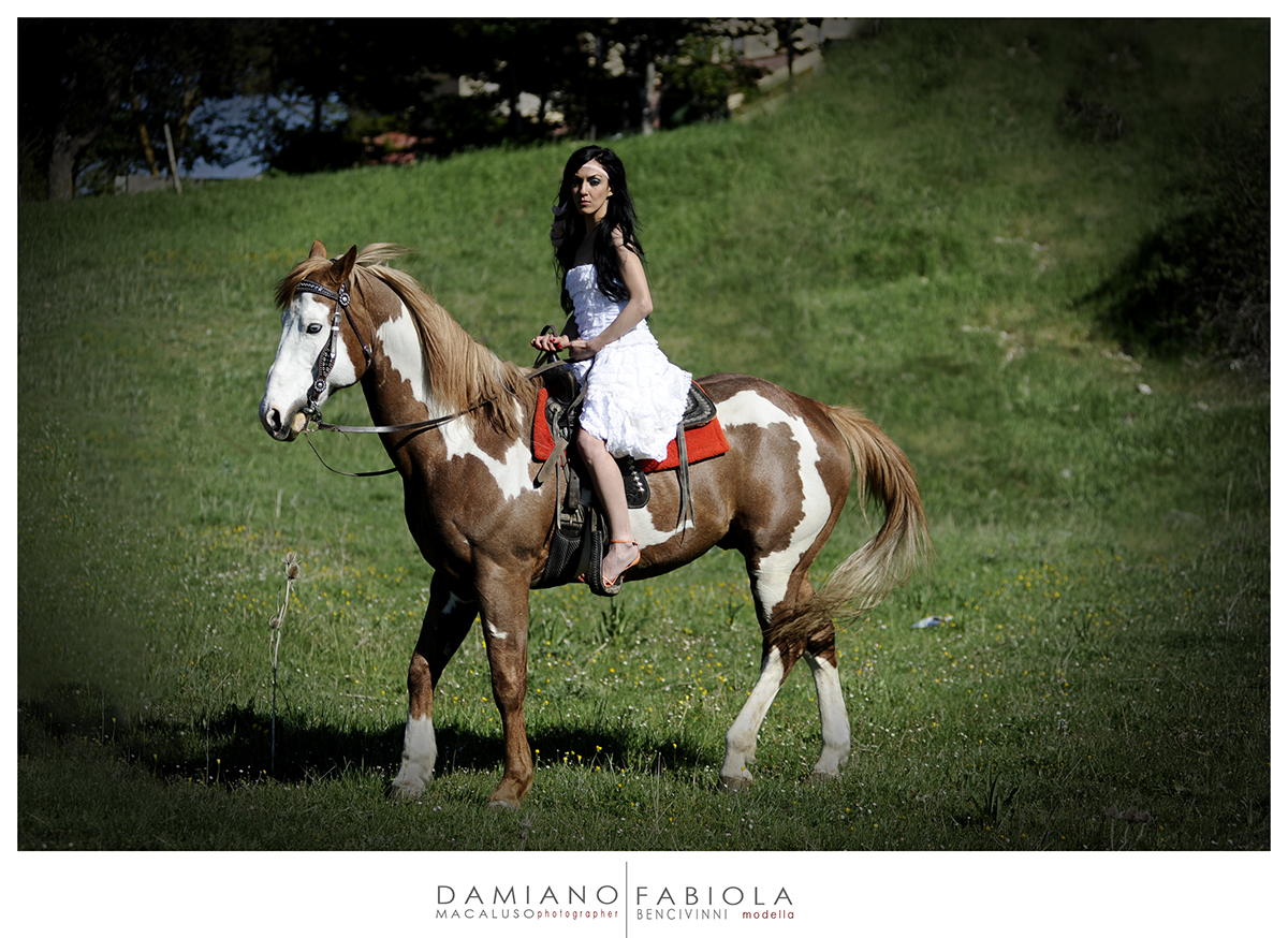 gothic horse fabiola damiano macaluso photographer
