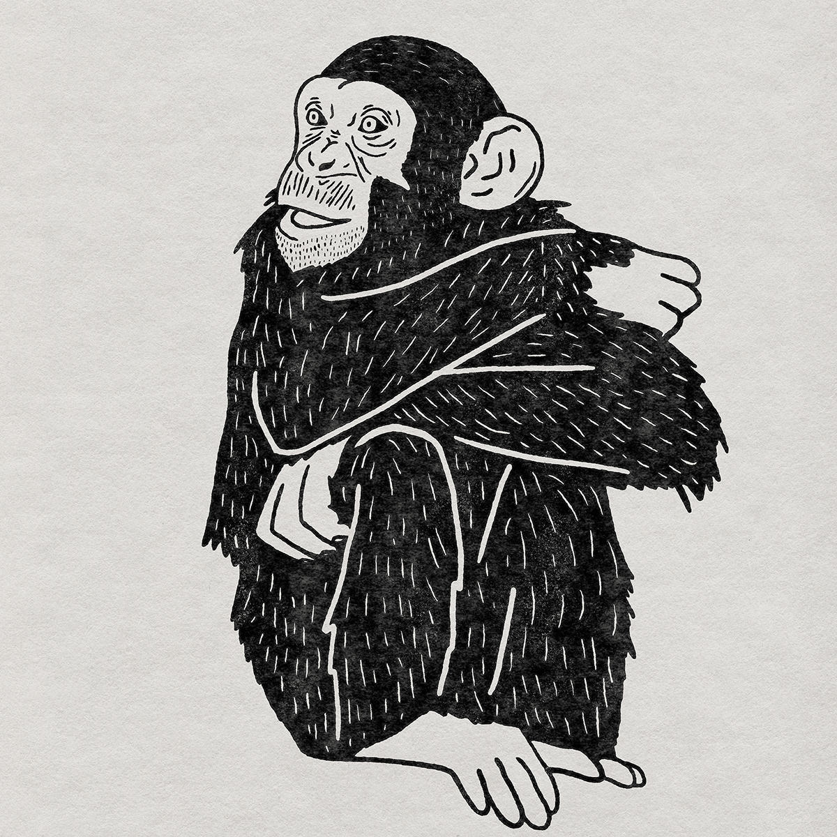 Aarav SwatiManish animal apple pencil black and white chimp chimpanzee iPad monkey wildlife