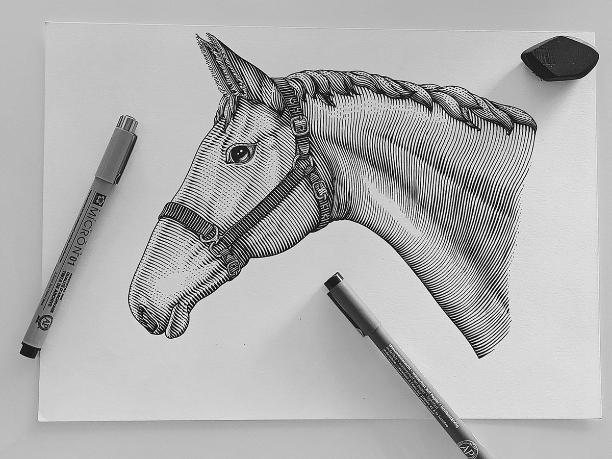 horse head logo ILLUSTRATION  draw ink engraving engrave farm animal