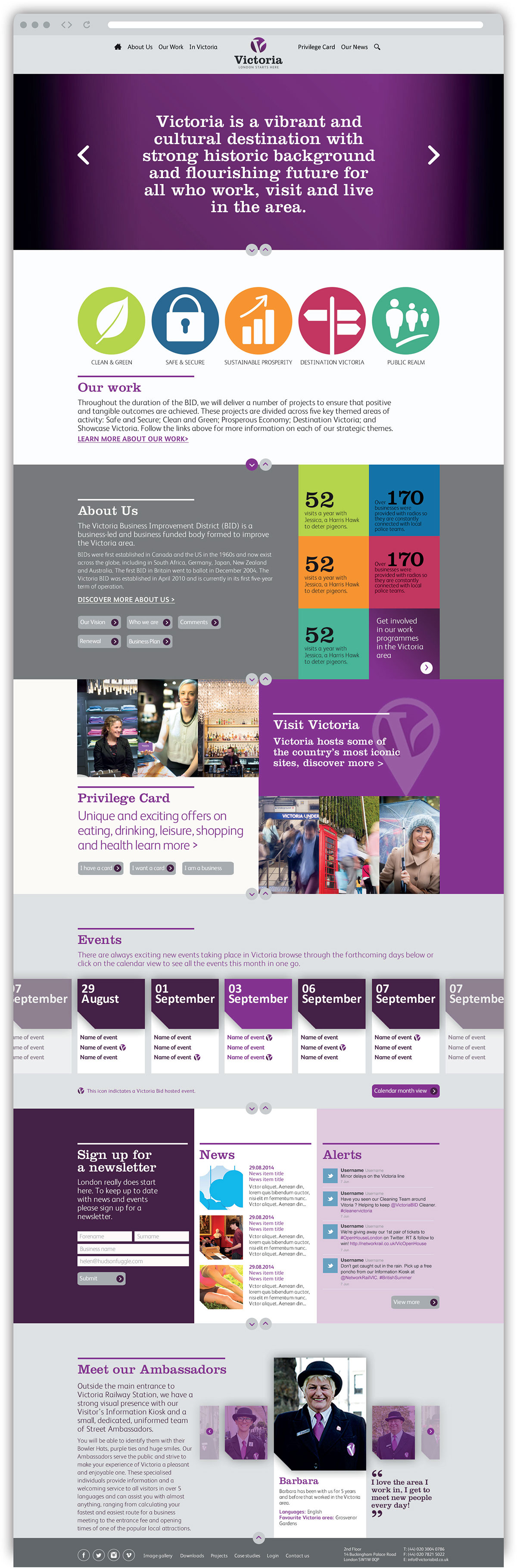 Adobe Portfolio Business improvement design Web