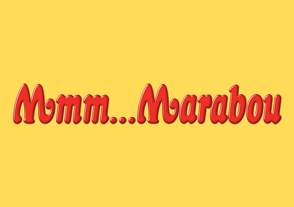 logo  design marabou