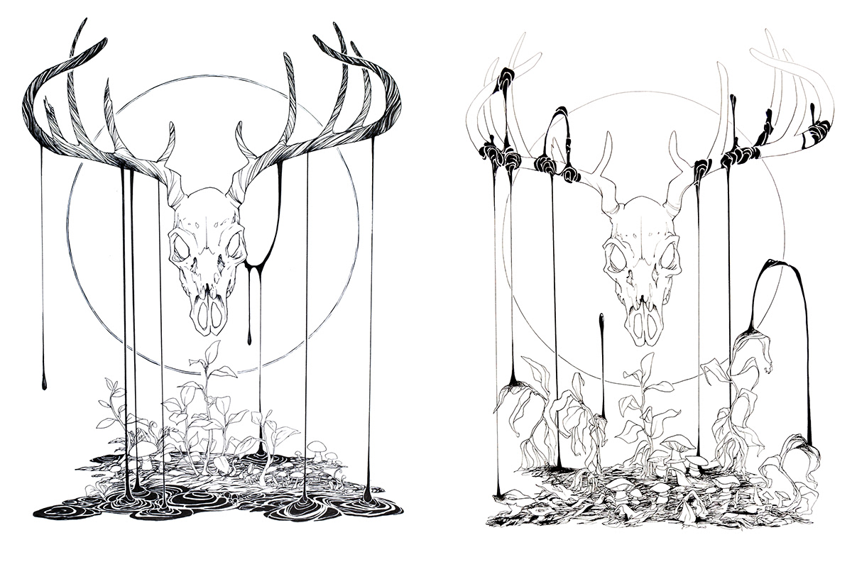 rebirth deer skull decay sprout