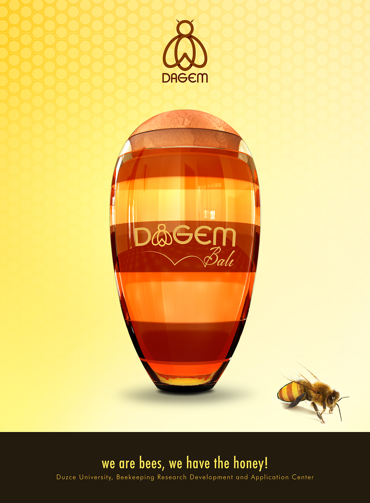 honey Dagem Honey jar jar bee düzce üniversitesi yığılca yığılca arısı yigilca bee Honey jar