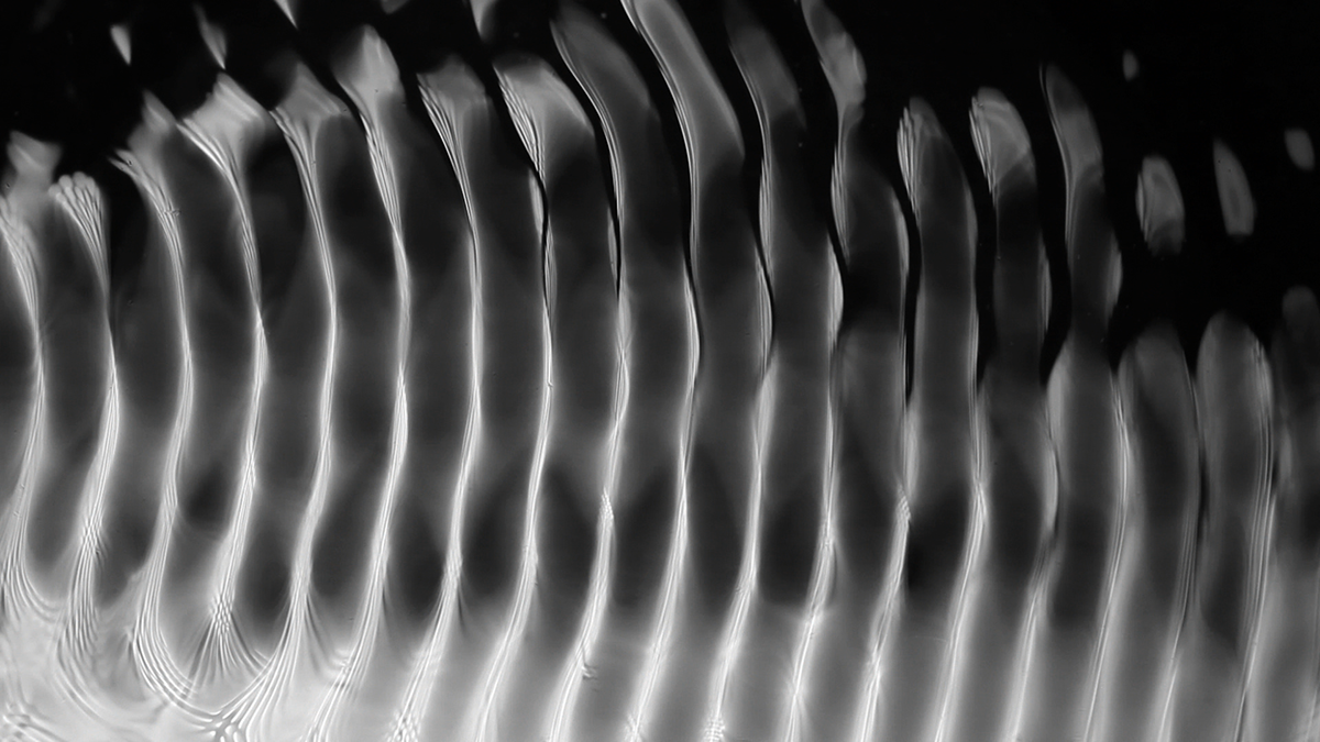 cymatics waves water vibration analog experimental visuals