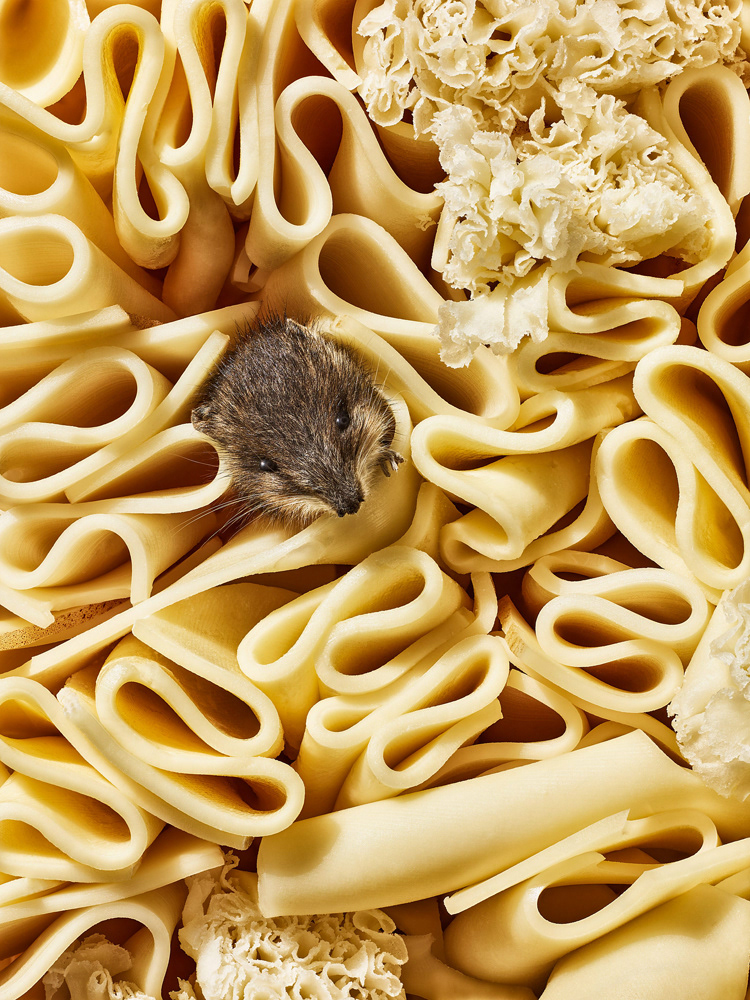Image may contain: pasta, food and dish