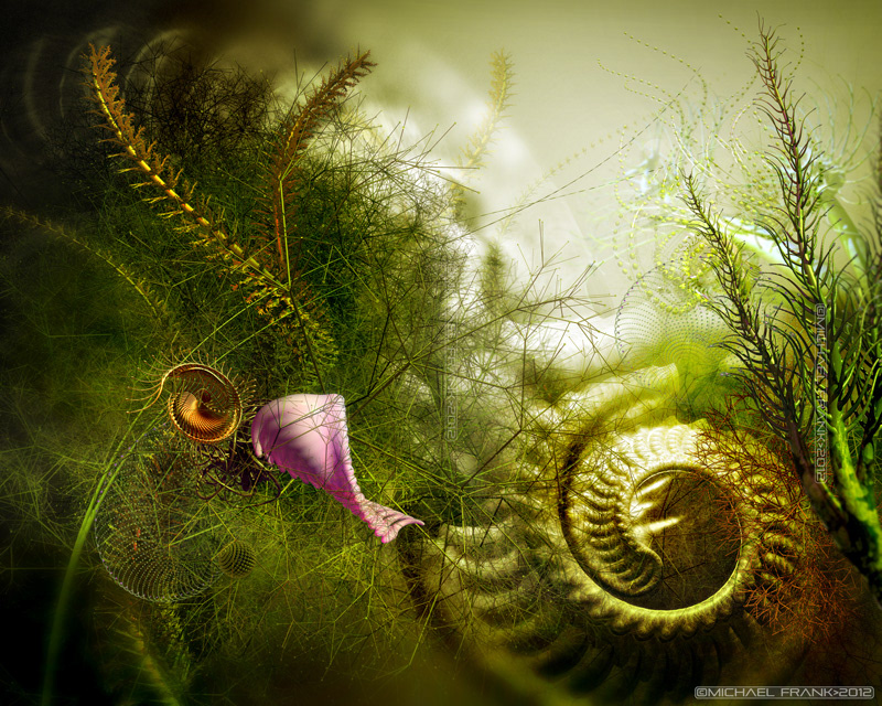 Bryce "photo manipulation" "Michael Frank" 3D abstract Landscape undersea surreal Shells plants Nature photo-realistic Photoshop CS5 dream forest