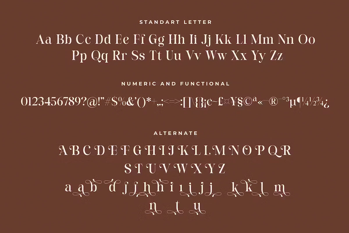 font typography   Typeface lettering type Logotype brand identity