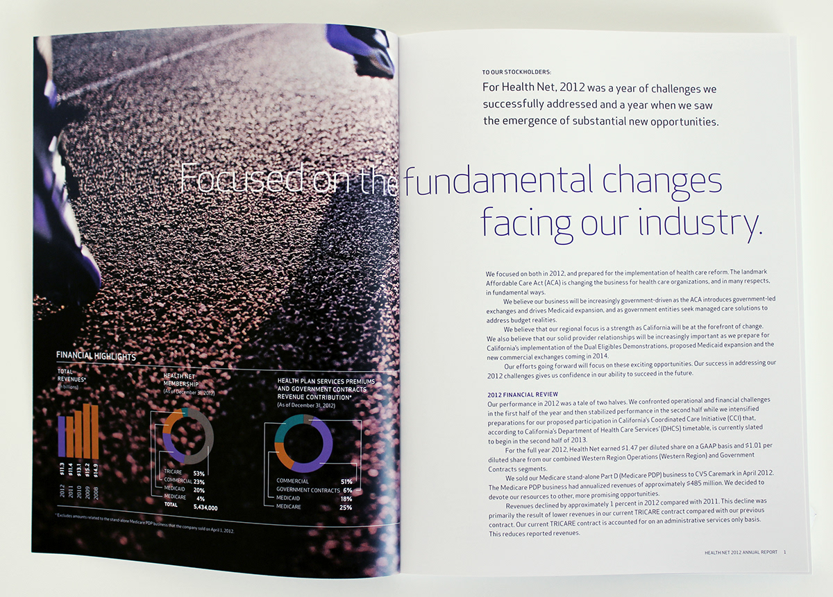 annual report Corporate Communication print collateral