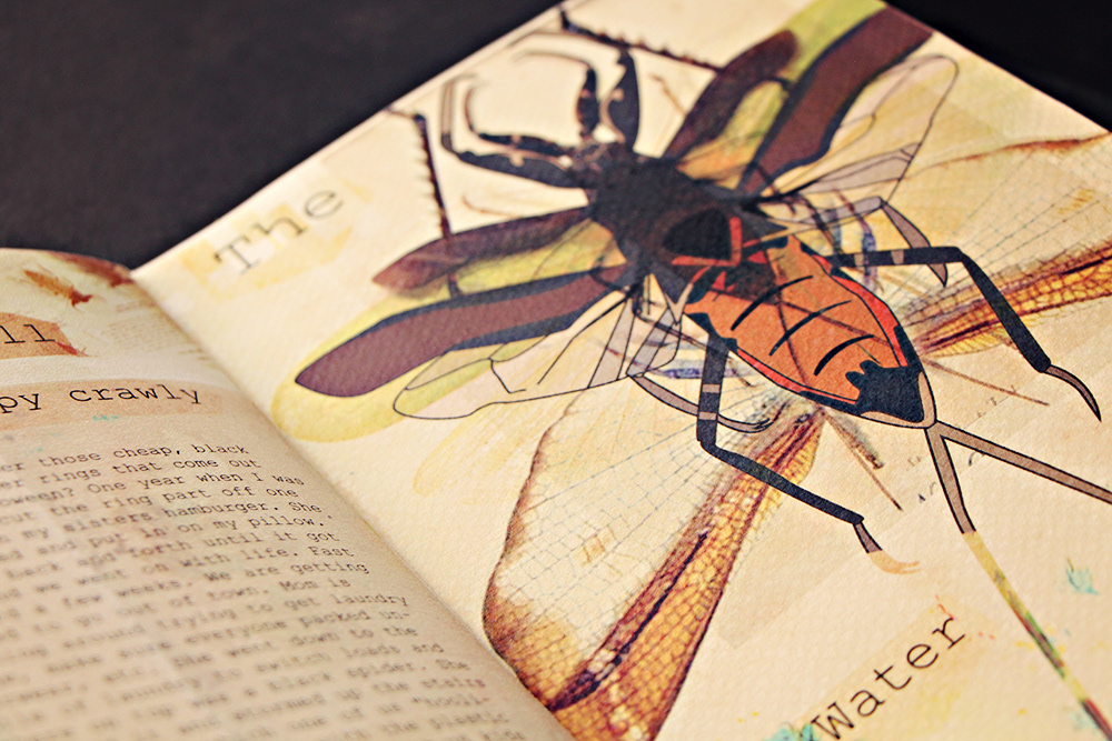 Zine  Insects Bugging around art Booklet