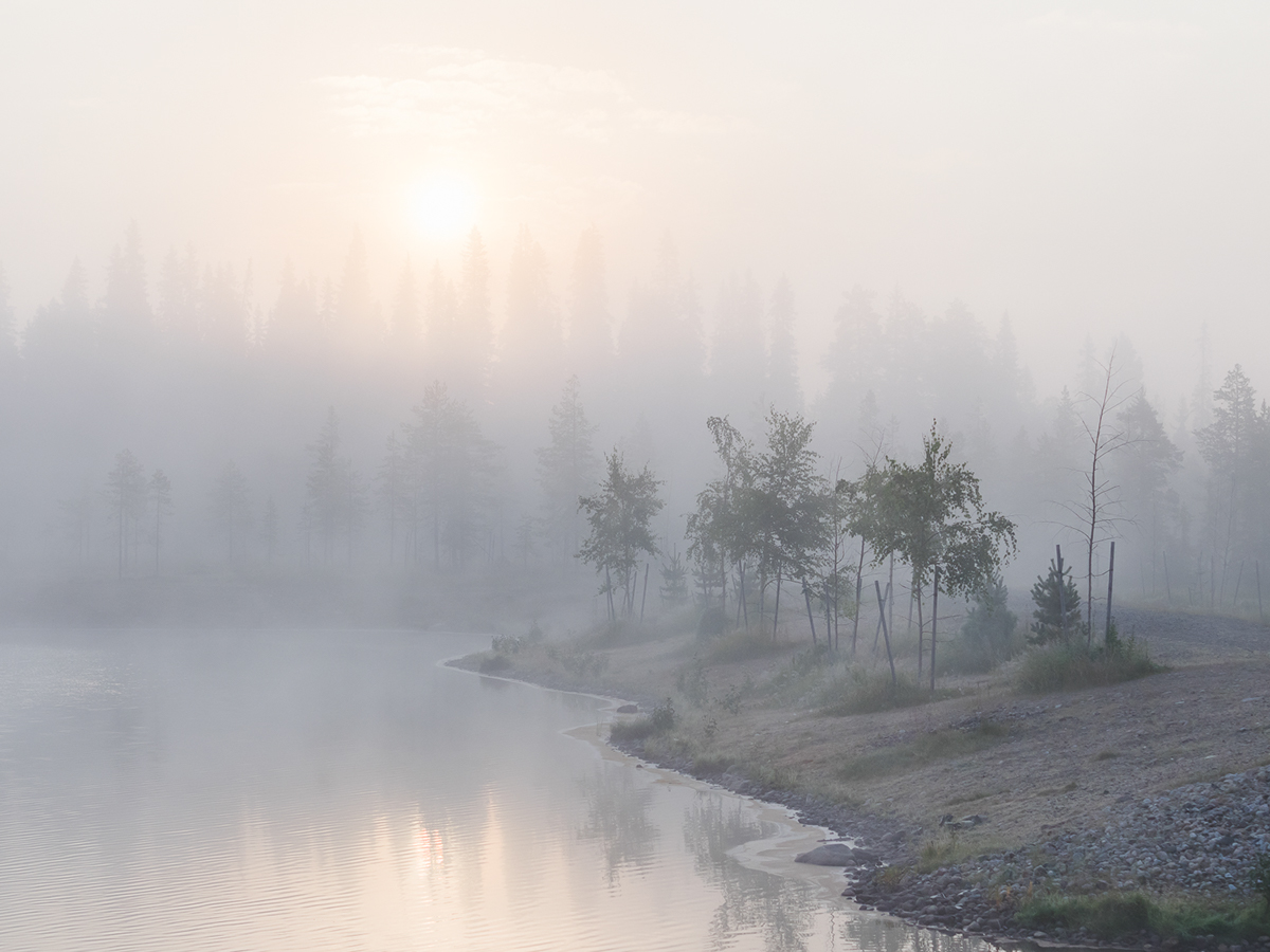 finland fog mist golden hour olympus Landscape Nature forest