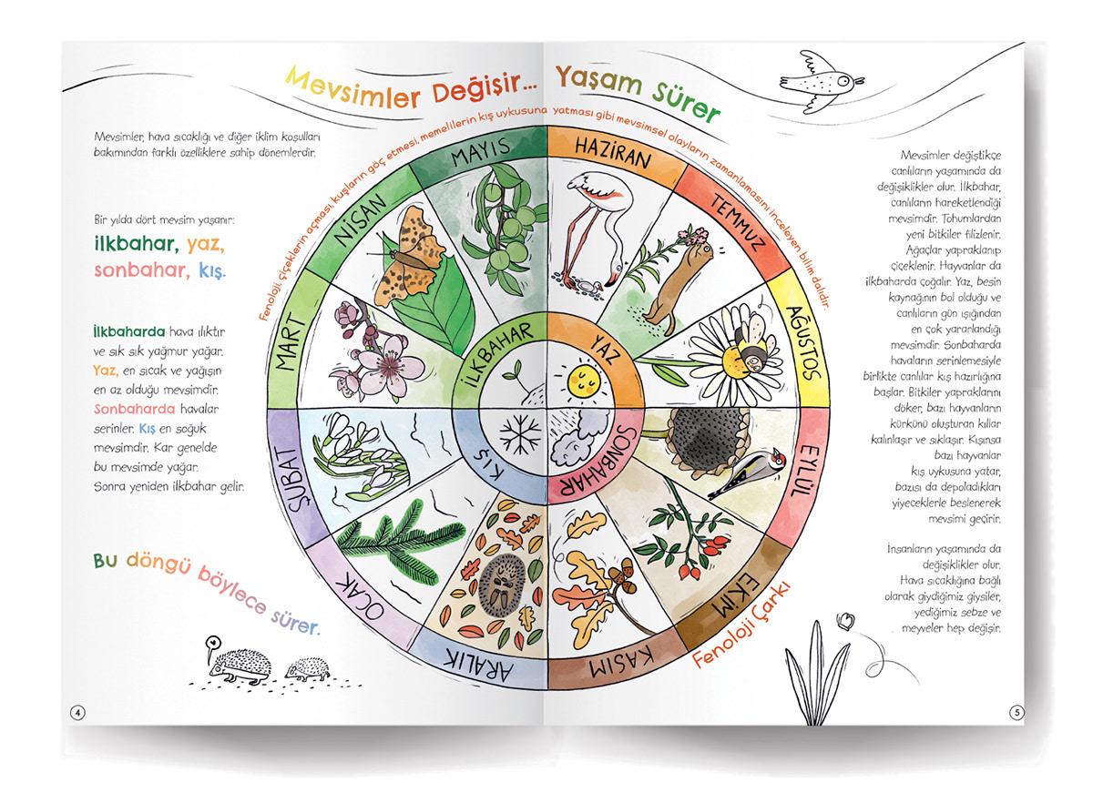 cycle of seasons, phenology, stars, night sky, kids science, nature observation