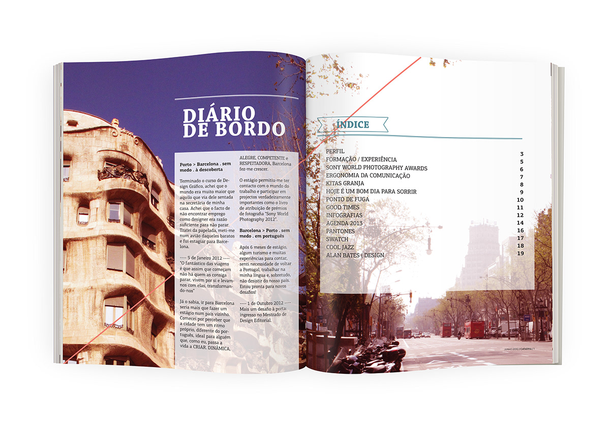 portfolio magazine