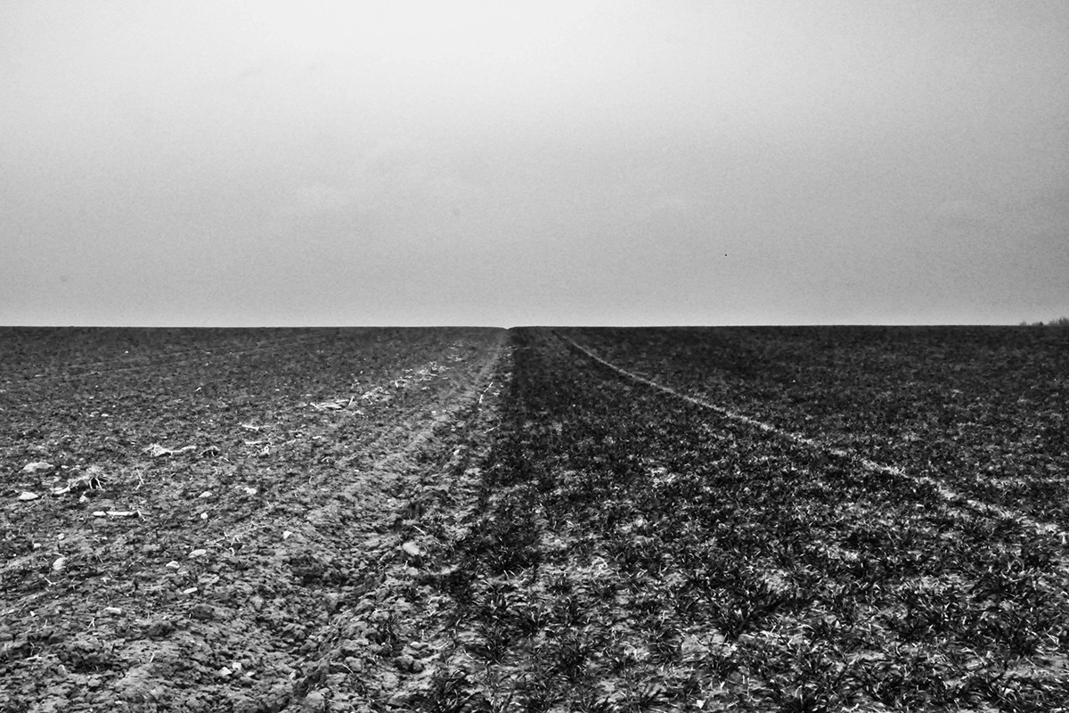 Landscape blackandwhite analog