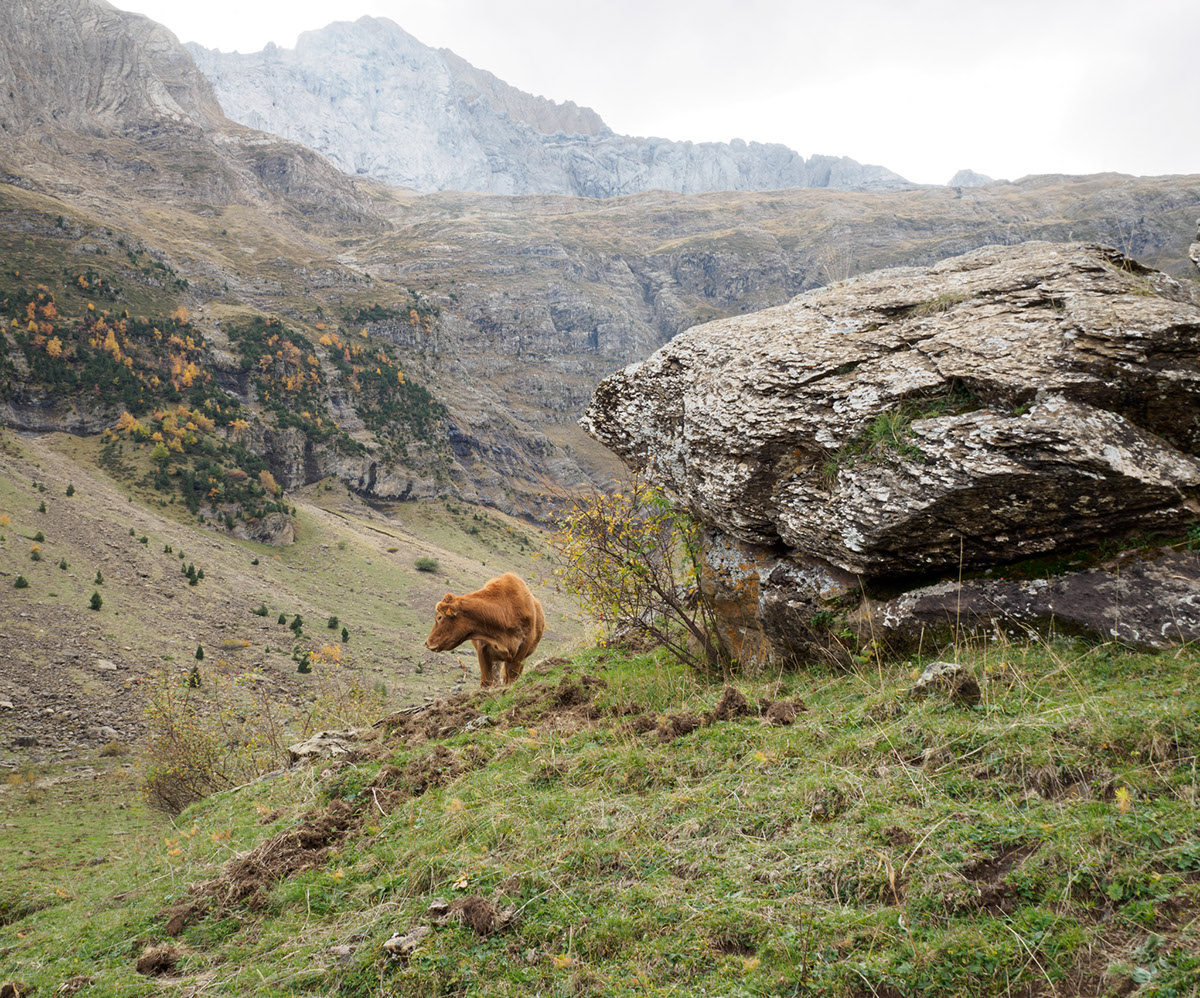 Adobe Portfolio travel photography Ordesa Aragon pyrenees autumn mountain red