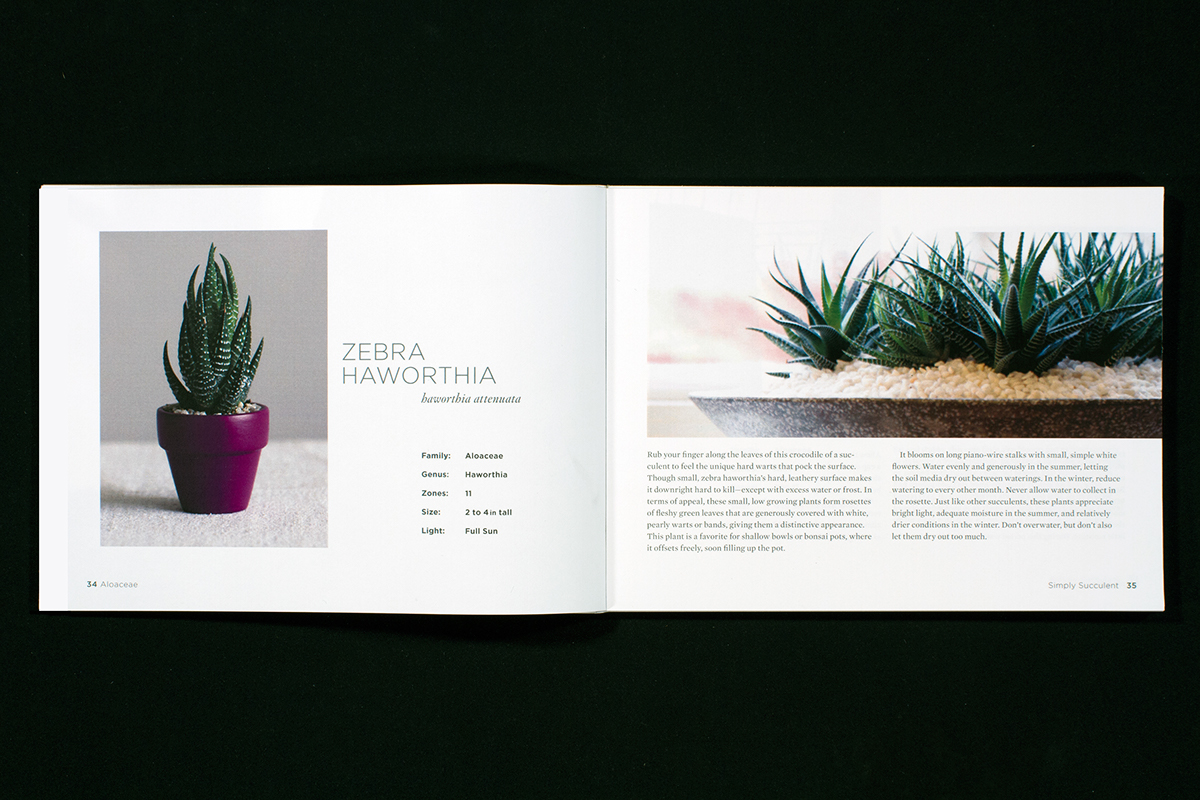 print Succulent book
