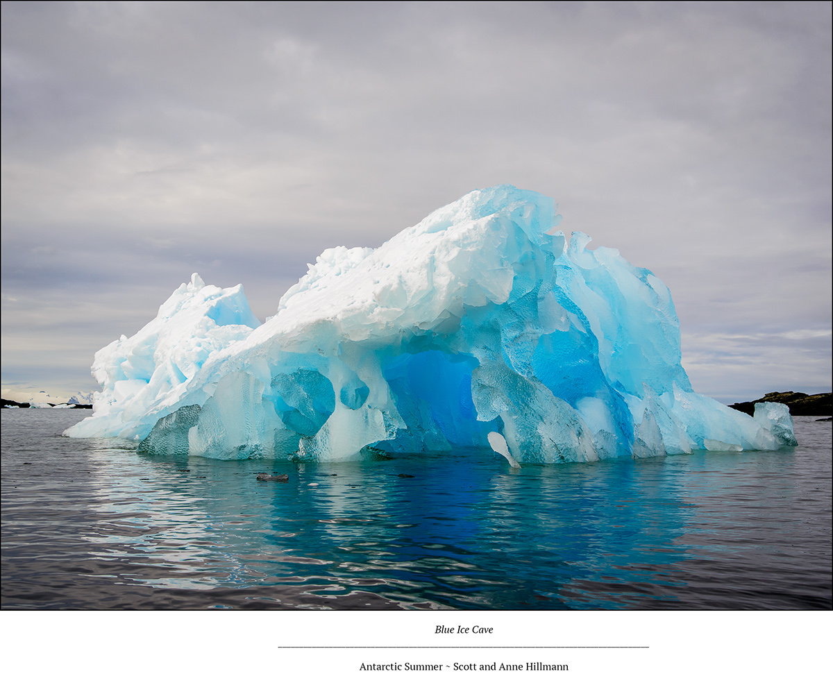 antarctic summer penguins icebergs glaciers mountains