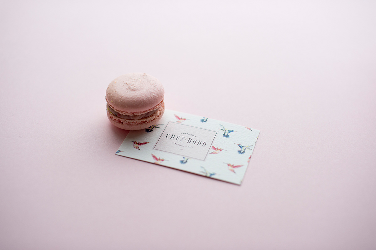 Adobe Portfolio macaron chez dodo hummingbird kolibri pattern watercolor sweet budapest Balazs Glodi