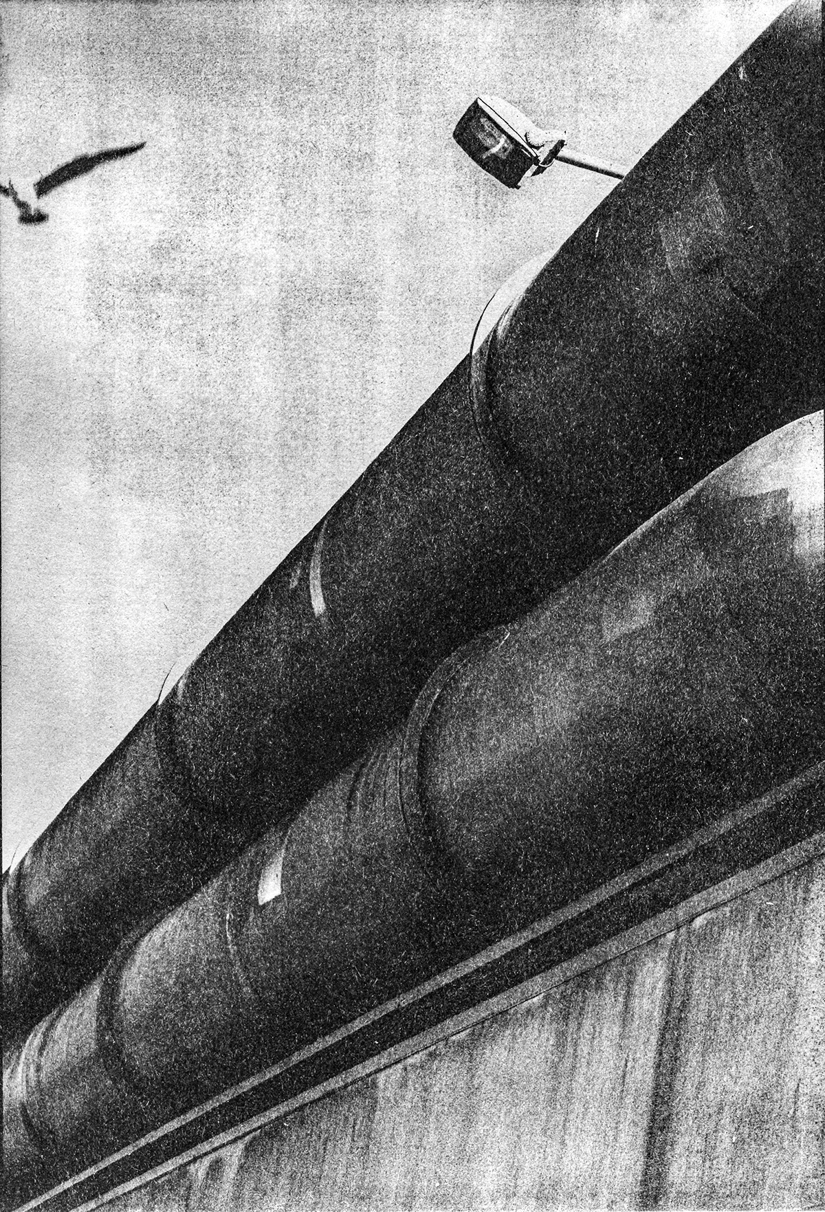black and white analogic Printing cyanotype