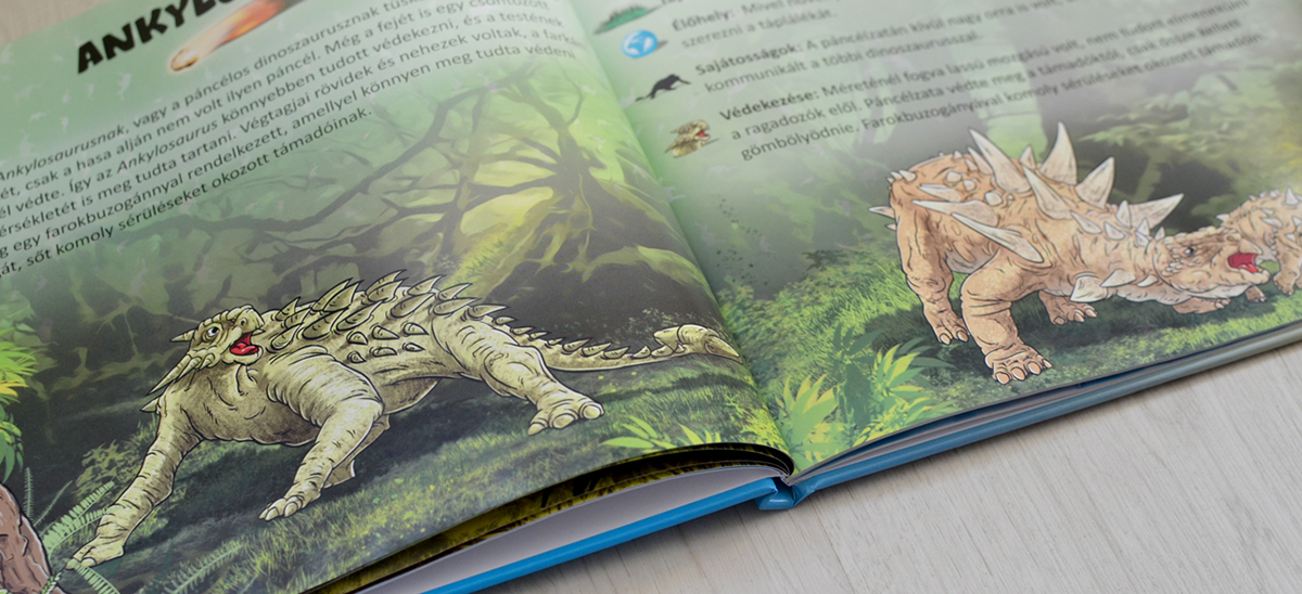 ILLUSTRATION  children books Encyclopedia series publishing   animals Dino wild animals bugs