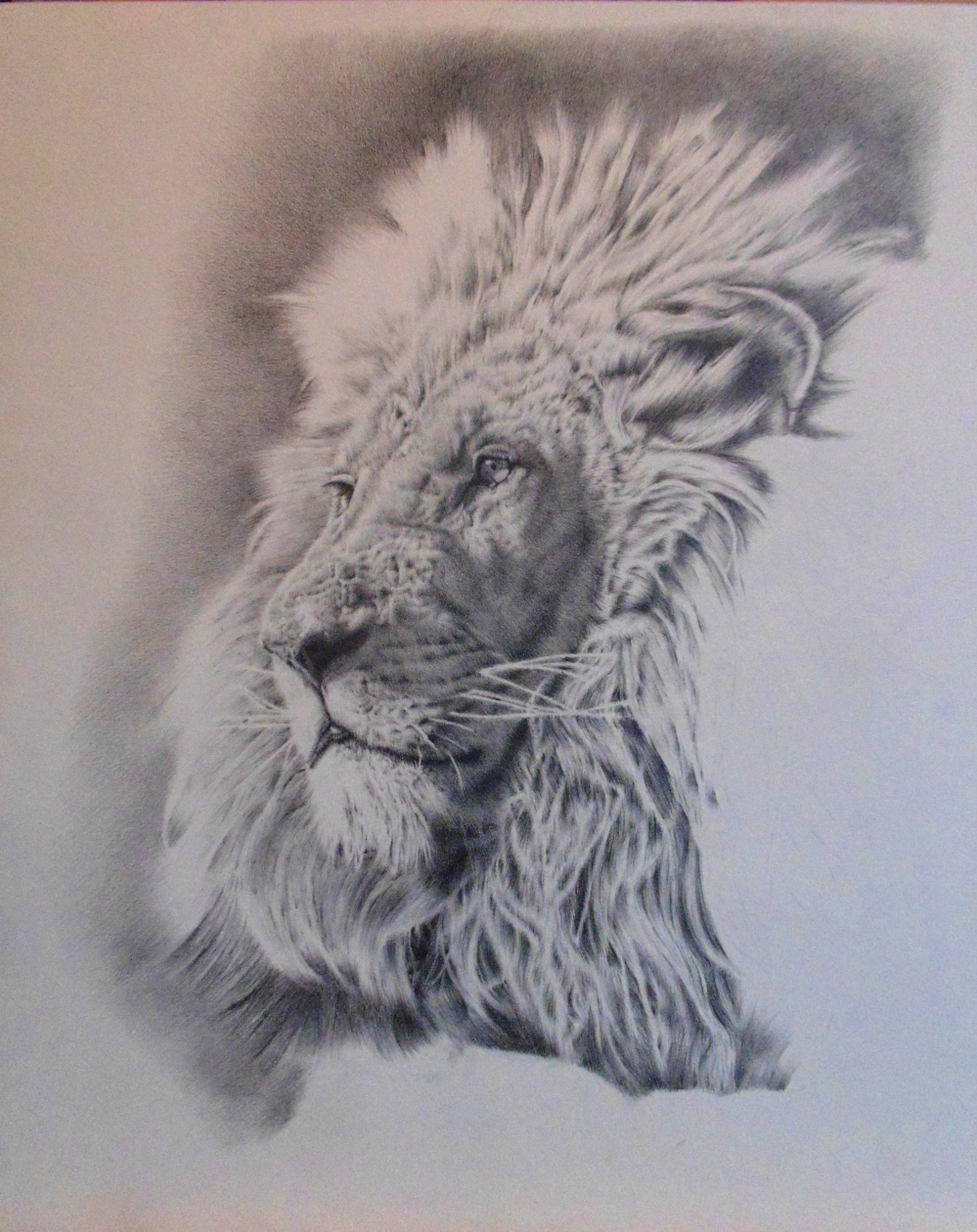 2,369 Lion Drawing Stock Photos, High-Res Pictures, and Images - Getty  Images-saigonsouth.com.vn