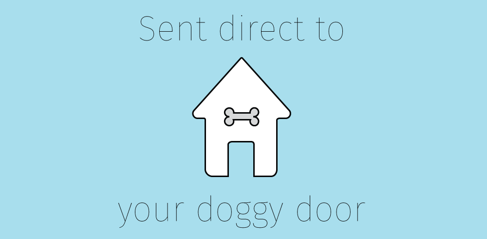 Retail dog apparel Website Design hero banner