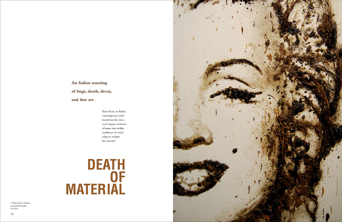Adobe Portfolio magazine publication art history