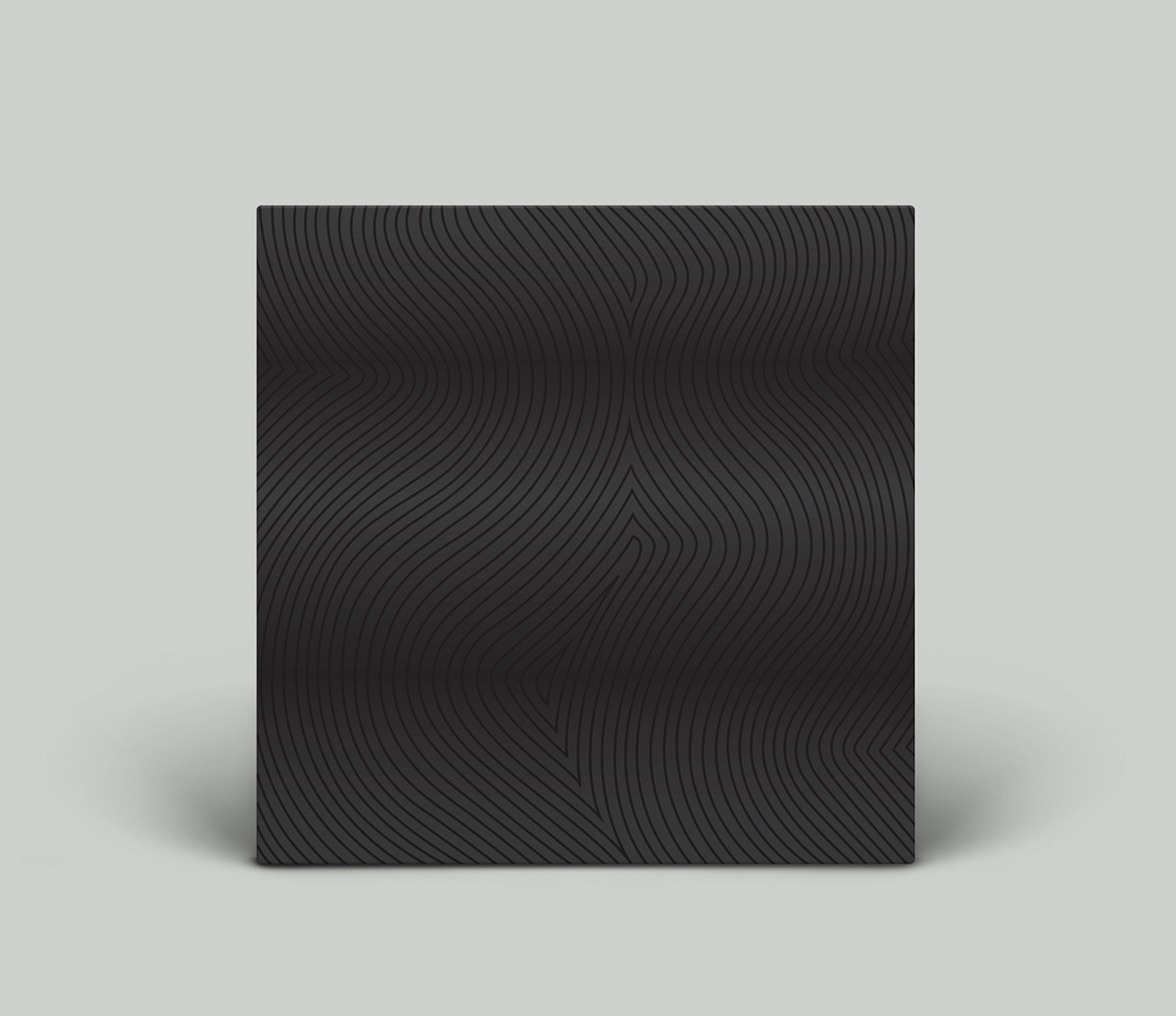 Vinyl Sleeve Design Music Packaging