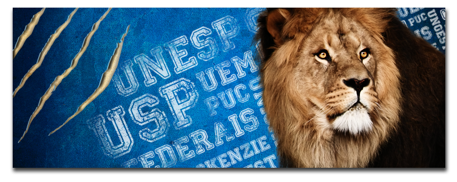 anglo anglo prudentino cover image lion