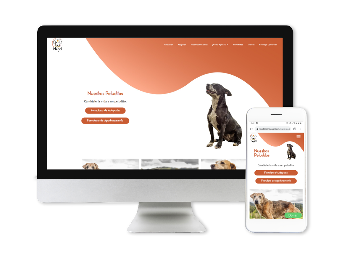 desarrollo web Diseño web Paginas web Web Design  fundacion perros